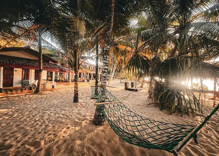 Ibisbird Beach Bungalows, Sport, Spa And Restaurant